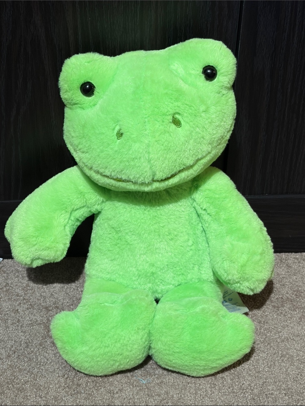 Green Plush Frog Stuffed Animal - Soft Plush Toy - Picture 1 of 5